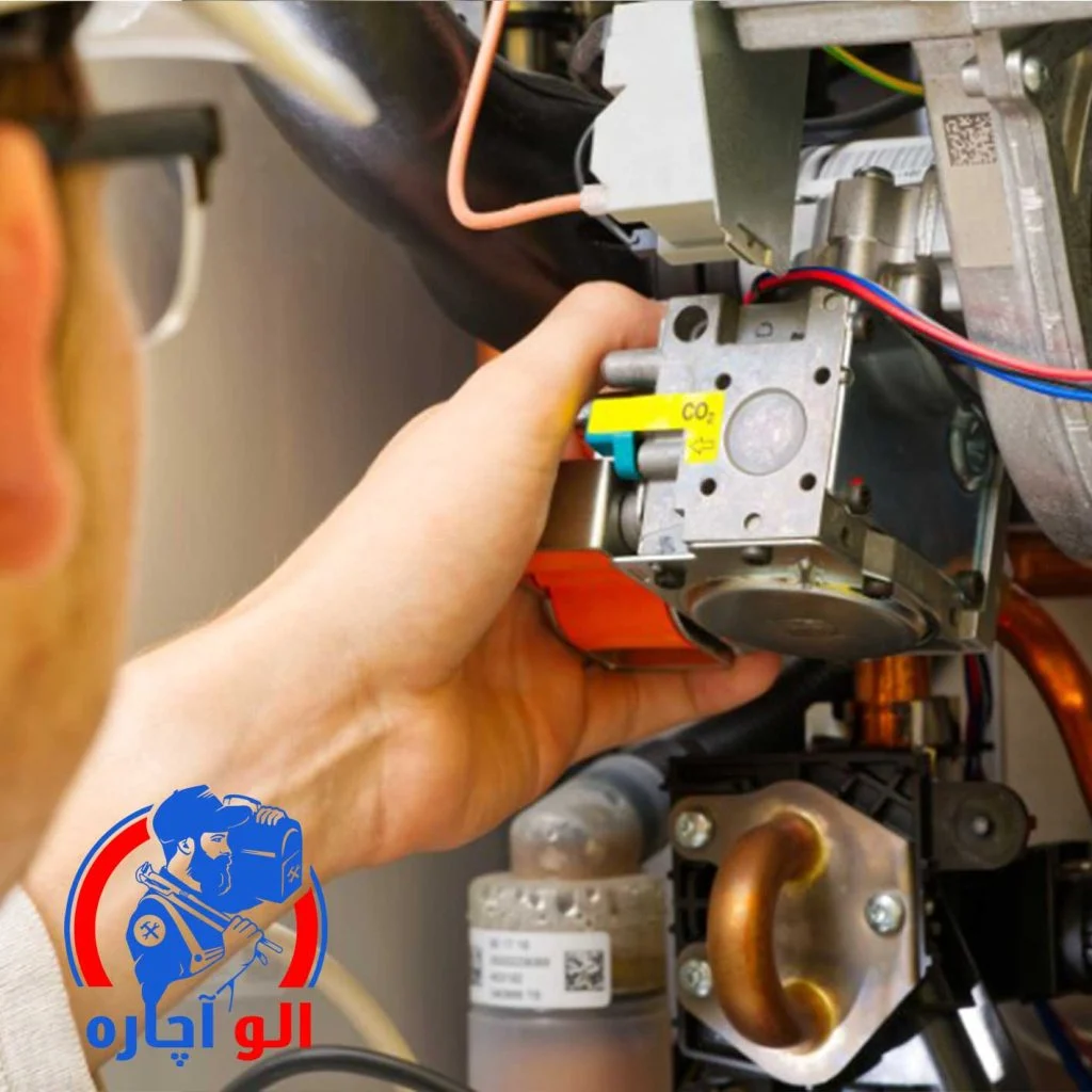 سرویس پکیج در آرژانتین